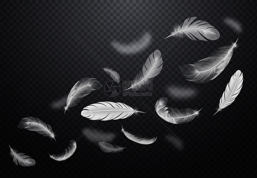 白色落鸟羽毛黑暗透明的背景下,现实风格的矢量插图图片