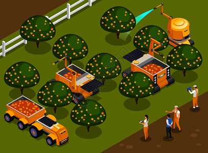 果园施肥农业机器人果园收获等距成与自动机械采摘水果浇水树木矢量插图插画