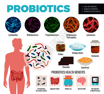 嗜热菌益生菌健康集与来源利益符号平孤立矢量插图益生菌健康套装插画