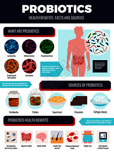 有益菌群益生菌信息图集与来源好处符号平矢量插图插画