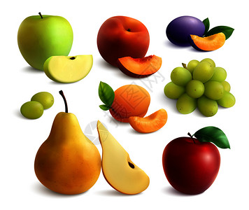水果真实与成熟水果浆果的孤立图像与切片空白背景矢量插图图片