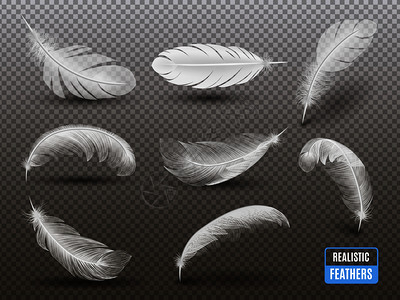 羽毛轻盈白色羽毛铸造阴影透明的背景,现实单色矢量插图插画