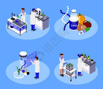 水果实验素材生物工程4等距图标与基因食品基因生物技术实验室DNA操作载体插图插画