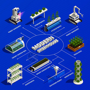 现代温室智能植物床机器人园丁水培气培系统发芽幼苗等距流程图矢量插图图片