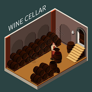 葡萄酒窖等距酒窖,大量的桶维格纳龙三维矢量插图插画