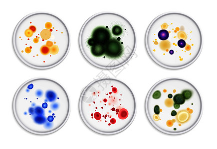 百微镜头霉菌细菌菌落斑点真实与圆形图像的同霉菌生命形式彩色矢量插图插画