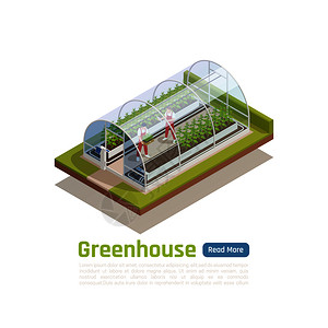 伯克利音乐学院现代水培温室室外等距视图,2名工人种植幼苗,并控制气候条件矢量图插画