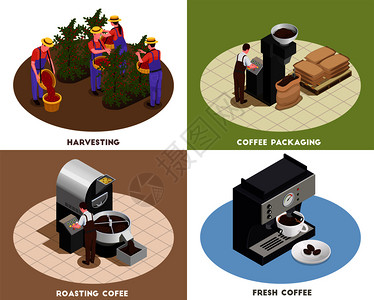 咖啡工业生产4等距图标正方形与收获烘焙包装新鲜酿造饮料矢量插图图片