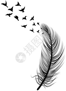 白色的鸟群写实羽毛鸟插图抽象与大羽毛鸟群顶部矢量插图插画