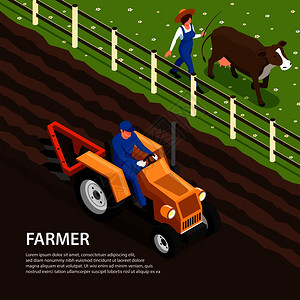 痛心农民日常工作等距成与拖拉机耕土带牲畜奶牛放牧矢量插图插画