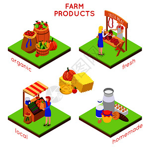 市场应用农场本地市场等距4x1与成的食品图像,人类字符文本矢量插图插画