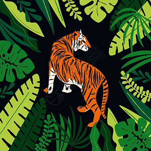 手绘老虎与异国热带树叶,平矢量插图图片