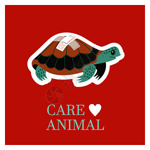 兽医护理照顾动物带绷带的生病的乌龟诊所的章贴纸的矢量插图兽医护理照顾动物诊所的章贴纸的矢量插图背景图片