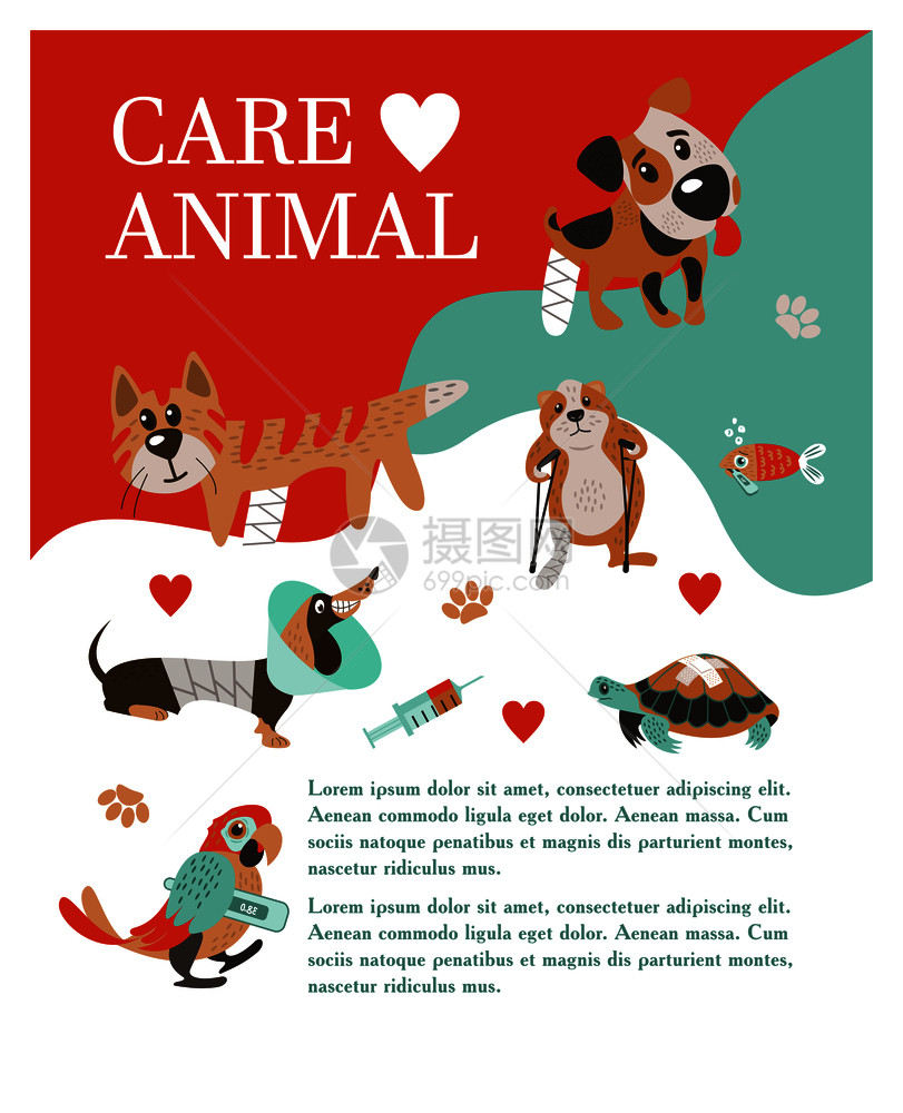 兽医护理照顾动物横幅与文字为兽医诊所套可爱的生病的动物兽医护理矢量插图,兽医诊所的横幅图片
