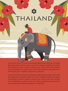 清迈骑大象泰国参观大象骑红花中的大象上矢量插图旅游网站模板,旅游指南泰国参观大象矢量插图插画