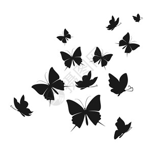 抽象蝴蝶蝴蝶的飞翔矢量插图背景图片
