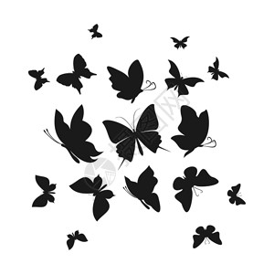 把蝴蝶抽象出来蝴蝶的飞翔矢量插图背景图片