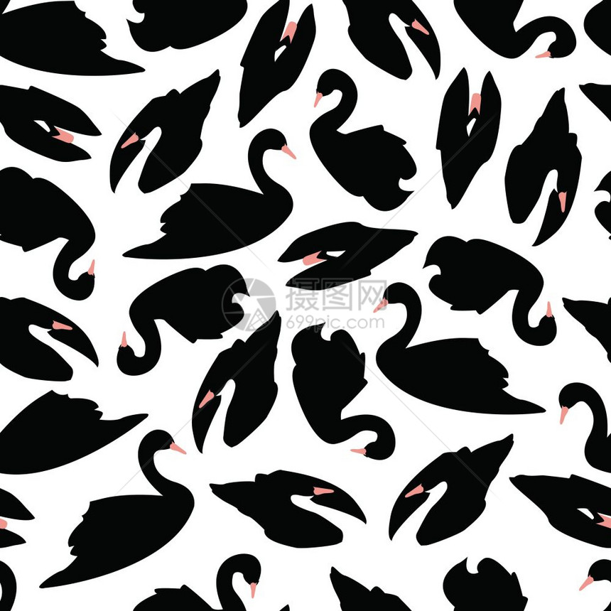 黑天鹅无缝图案白色背景,矢量插图图片