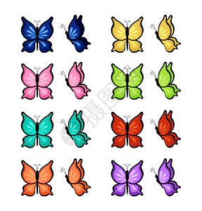 白色背景上同颜色的蝴蝶矢量插图图片