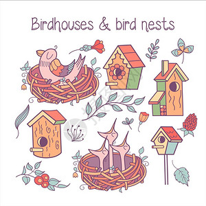 房子剪贴画套大型弹簧剪贴画鸟巢里的小鸡,春天的花,树叶,树枝,鸟舍白色背景上隔离插画