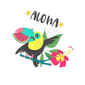阿依洛你好,夏天阿洛哈可爱趣的卡通巨嘴鸟热带天堂阿洛哈欢快的五颜六色的巨嘴鸟坐树枝上,嘴里衔着片西瓜卡通插画