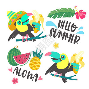 你好,夏天阿洛哈可爱趣的卡通巨嘴鸟热带天堂你好,夏天阿洛哈趣的巨嘴鸟着香蕉热带树叶,花,菠萝,背景图片