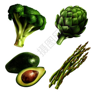 芦笋蔬菜套四种蔬菜的现实风格与鳄梨西兰花洋蓟芦笋分离矢量插图套现实主义风格的蔬菜插画
