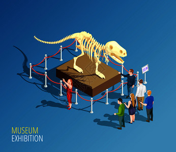 博物馆信息图背景与龙骨架等距成游客博物馆矢量插图龙展览背景成背景图片