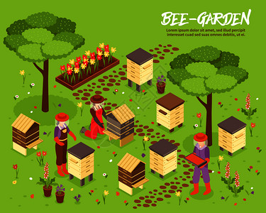 蜜蜂友好型养蜂场与蜂箱蜂蜜收获等距海报与养蜂友好植物花园背景矢量插图贝加登蜂场等距插图插画