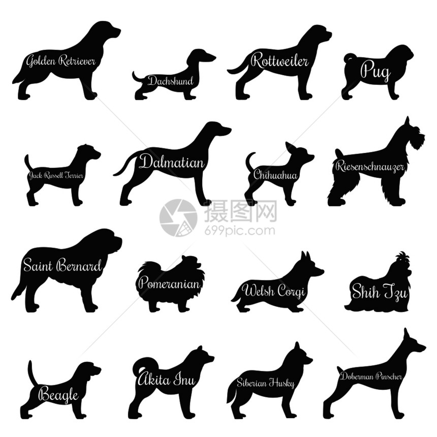 纯种狗轮廓轮廓图标与金毛猎犬鼠杰克拉塞尔猎犬其他品种的矢量插图狗轮廓轮廓图标图片