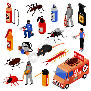 蚂蚁元素虫害防治服务人员三维等距图标白色背景矢量插图上害虫防治三维异构集插画