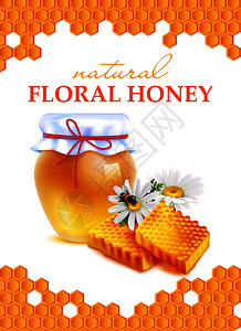 笨手笨脚的天然花卉蜂蜜写实海报与蜂窝框架雏菊花璃瓶的花卉蜂蜜矢量插图天然花卉蜂蜜写实海报插画