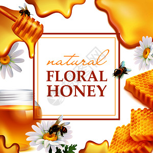 蜜蜂框架天然花卉蜂蜜五颜六色的框架与蜂窝菊花蜜蜂蜂蜜流动的现实矢量插图天然花卉蜂蜜五颜六色的框架插画