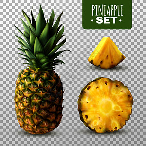 切片菠萝新鲜成熟菠萝切片隔离透明背景现实矢量插图现实的菠萝套装插画