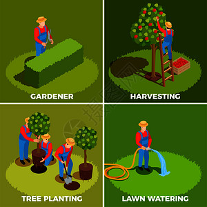 园艺修剪园丁等距人2x2与人的特点帽子皮纳福尔斯与园艺工具矢量插图果园管理理念插画
