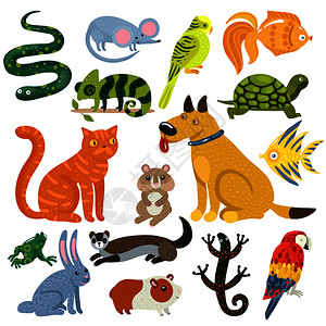 羽状的宠物五颜六色的图标与猫狗,鱼,啮齿动物,鹦鹉爬行动物矢量插图宠物五颜六色的图标插画