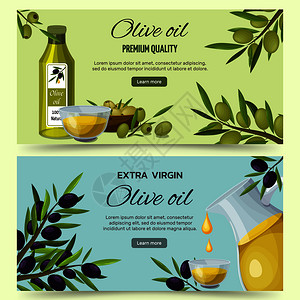 特级初榨橄榄油的好处用2信息水平卡通横幅网页矢量插图橄榄油卡通横幅套背景图片