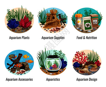 套水族馆的成与五颜六色的植物,鱼类,食物,贝壳洞穴,元素矢量插图水族馆作文集背景图片