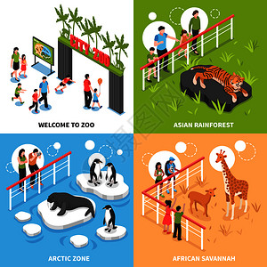 沉默企鹅元素欢迎来动物园2x2与亚洲雨林北极区非洲热带草原广场图标等距矢量插图动物园2x2等距插画