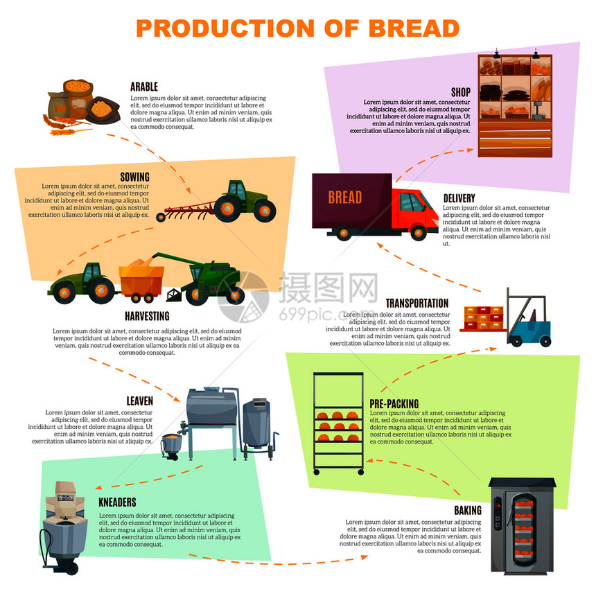 包生产信息图表,谷物播种商店货物交付的阶段,光背景矢量插图包生产阶段信息图表图片