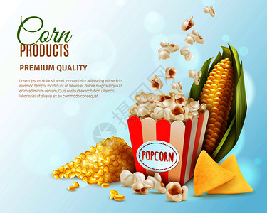 彩色玉米产品成与玉米产品优质质量描述位置为文本矢量插图玉米制品成图片