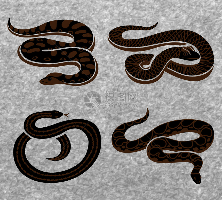 黑色蛇套爬行动物与各种装饰纹理灰色背景孤立矢量插图黑色蛇套图片