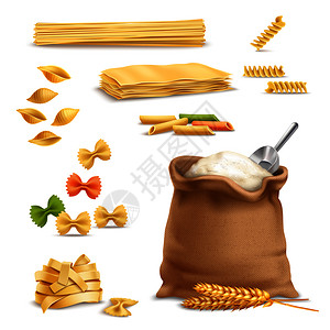 腊肉贝壳粉现实的图标与意大利,小麦小穗,袋粉与金属勺子矢量插图现实的意大利小麦小穗粉插画