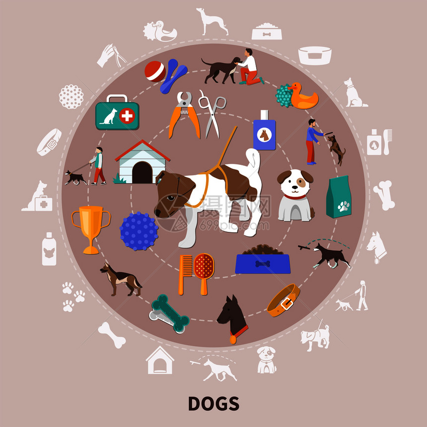 狗圆形构图与平图像,为宠物主人与食品玩具梳理训练矢量插图狗宠物平圆圈成图片