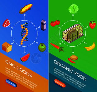 基因生物集垂直等距横幅与基因商品机食品分离矢量插图基因生物等距横幅图片