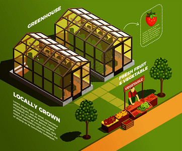 等距农场背景与两个璃温室,用于本地种植机蔬菜水果矢量插图等距农场背景图片