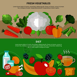 两个健康饮食平成与饮食新鲜蔬菜描述矢量插图健康饮食平分集背景图片