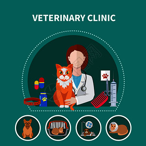 动物药物兽医诊所动物宠物护理传单广告模板与治疗药物平圆图标矢量插图兽医诊所平海报插画