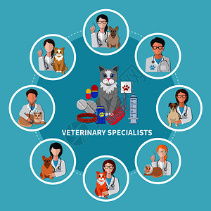 兽医医学专家平圈成与猫宠物护理产品爪子打印矢量插图兽医专家平海报图片
