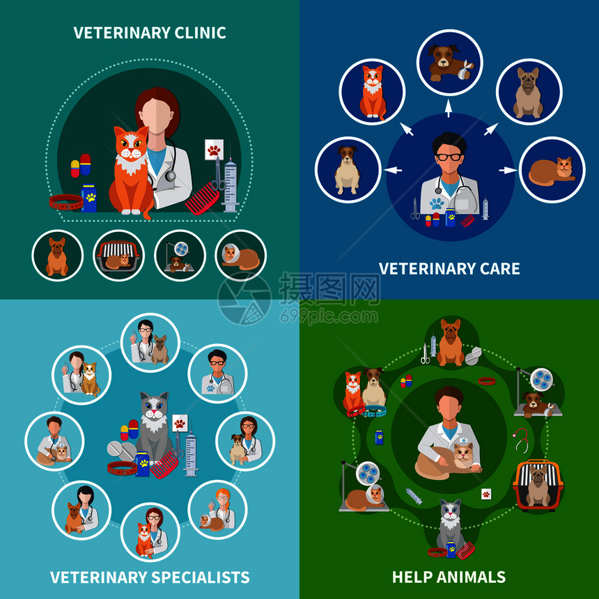 兽医诊所动物护理治疗程序药物专家建议4平图标方形孤立矢量插图兽医平图标图片